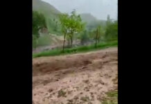 Чаткал районунда нөшөрлөгөн жамгырдын кесепетинен сел жүрдү