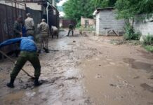 В Ошской и Джалал-Абадской областях сели затопили более 30 домов