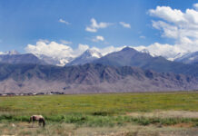 В Ат-Баши трансформируют 10,9 га земель. Что там построят?