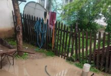 Жалал-Абаддын Терек-Сай айылында сел жүрдү