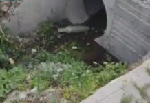 В Бишкеке милиция оцепила район улиц Тоголок Молдо — Васильева. Нашли снаряд