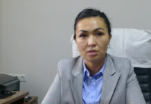 Замминистра здравоохранения по цифровому развитию назначена Нурийла Шериева