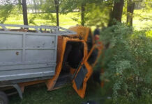 В Таласе грузовик врезался в дерево. Погиб молодой мужчина, еще 5 пострадали