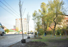 “Бишкек жашыл чарба” ишканасына 23 миң сом айып салынды