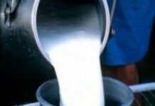 Сүт боюнча эки жумушчу топ түзүлөт