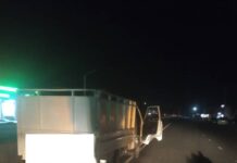 Бишкек — Кара-Балта жолунда айдоочу эки адамды өлтүрө сүзүп алган