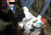 В Баткене задержан иностранец с более 8 кг опия. ФОТО