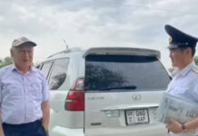 5500 сом айып салынды. Жаш баланы рулга отургузган жаран өзү милицияга келди