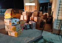 В Кыргызстан пытались контрабандой ввезти медикаменты