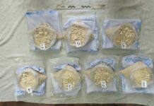 В Баткене задержали афганца с 16,5 кг героина и гашиша. ВИДЕО