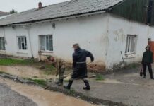 Нарын шаарында селдин кесепетинен өзгөчө кырдаал режими киргизилди