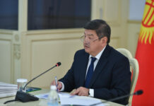 Кабмин определил порядок проведения земельной амнистии