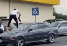 БМВ үлгүсүндөгү автоунаанын алдыңкы терезесине секирип сындырган жаран изделүүдө