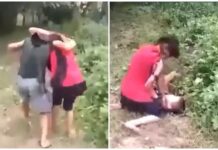 Детские бои без правил. Милиция нашла женщину, которая стравливала детей и снимала драку на телефон