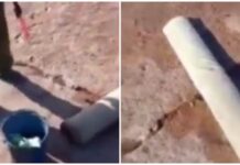 Милиция ищет людей, которые стирали палас на берегу Иссык-Куля