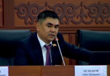 «Там только динозавров нет». Депутат заявил, что водохранилище в Кара-Суу заполнено трупами животных