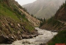 Нарында капиталдык курулуш башкармалыгынын кызматкерлери тарабынан мамлекетке 21 млн. сомдон ашуун зыян келтирилген