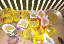 Ала-Бука милициясы шектүү делген жарандын үйүнөн наркотикалык зат жана мыйзамсыз ок атуучу курал алды