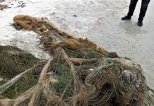 Көлдүн түбү тиричилик таштандыларынан жана балык уулоочу торлордон тазаланды