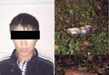 Абактарга баңгизат ташыган жаран кармалды