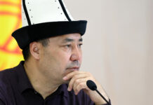 Жапаров выразил соболезнования Токаеву в связи с жертвами лесных пожаров