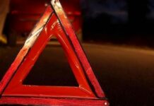 Ленинград облусунда кыргызстандык жаранды айдоочу унаасы менен өлтүрө сүздү