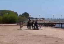 Всех участников драки в пансионате «Радуга» доставили в милицию