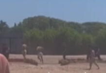 По факту драки в пансионате «Радуга» возбуждено уголовное дело