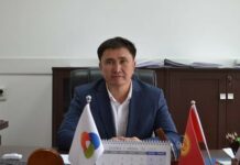 Нурлан Садыков назначен главой Нацэнергохолдинга 