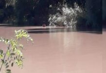 Чоң Чүй каналында жансыз дене табылды