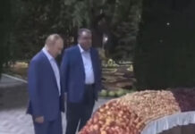 Владимир Путин Душанбеге бир күндүк иш сапары менен барды