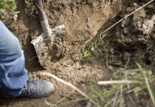 В Новопокровке женщина убила и закопала сожителя. Тело нашли спустя полгода