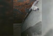 Кыргызстан менен Өзбекстанды байланыштырган туннель табылды, – видео