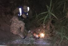 В Кара-Балте в камышах нашли тело женщины