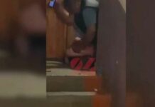 Эки жаран тарабынан сабалган 20 жаштагы бала ооруканага түштү