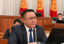 Отстранение Зулушева не противоречит Конституции, — пресс-секретарь президента