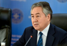 Жыл башынан бери чет өлкөлөргө жалпы 22 сапар уюштурулду — ТИМ