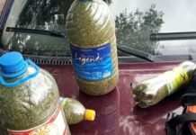 В Кочкоре задержали троих мужчин с 4 кг марихуаны