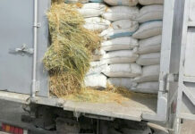 УКМК: 12 тонна минералдык жер семирткич контрабандалык жүк кармалды