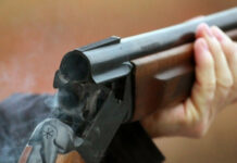 Койчу жайлоого келген адамды кокусунан атып алды