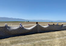 Нарында узундугу 130 метрден ашкан шырдак жасалды