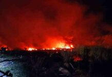 Украинанын кооптуу жүк ташыган “Антонов” учагы Грециянын түндүгүндө кулады