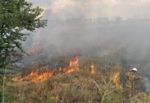 Бишкектин четиндеги 2 гектар жер өрттөндү