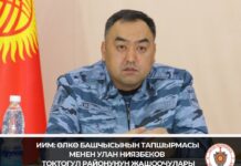 Садыр Жапаровдун тапшырмасы менен Улан Ниязбеков Токтогул районунун жашоочулары менен жолугушту