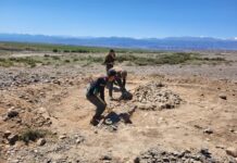 При строительстве железной дороги Балыкчи — Кочкор обнаружили древние курганы