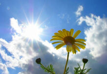 Күн бир жума катуу ысыйт. ӨКМдин чукул билдирүүсү