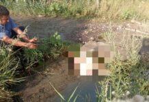 Тело подростка, утонувшего в БЧК, нашли в арыке