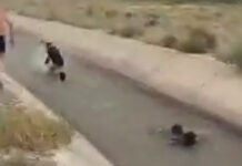 Спасатели утонули в быстротоке, спасая ребенка. В МЧС заявили, что трагедия случилась не в КР