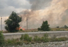 В южной части Бишкека сильный пожар — горит сухотравье. ВИДЕО