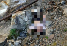 В Джети-Огузе подростка, который ушел собирать грибы, нашли мертвым